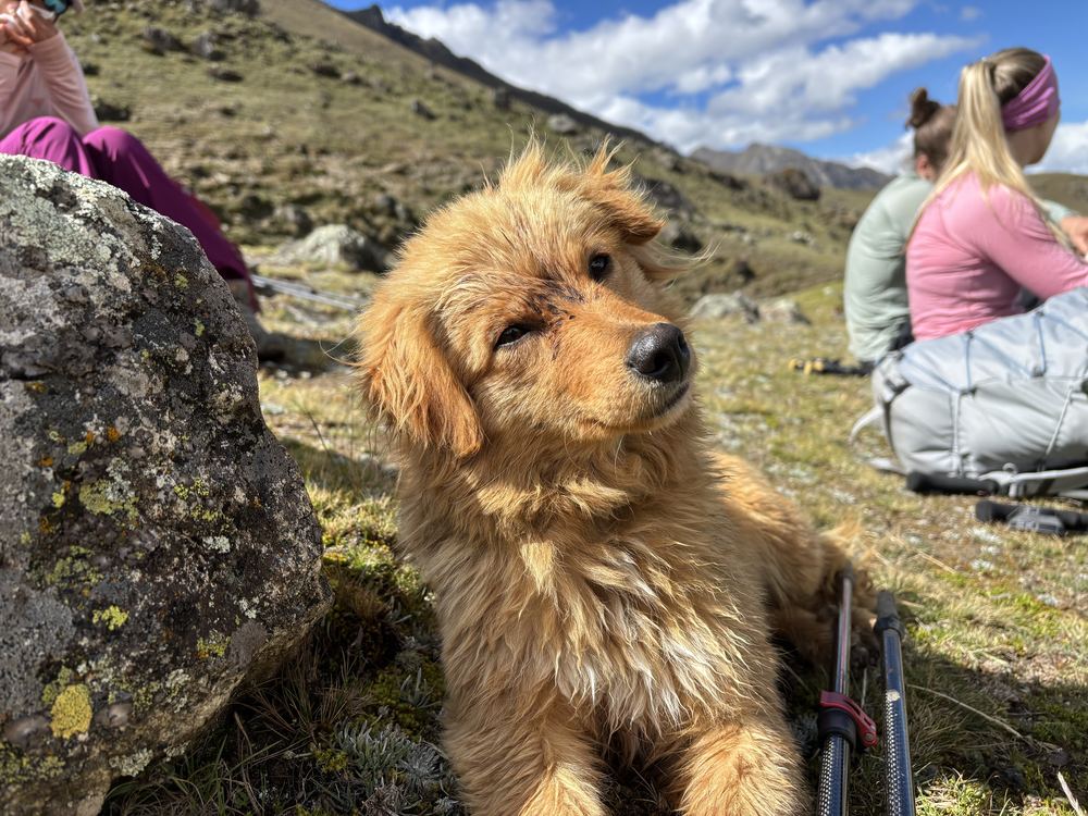 Cordillera Huayhuash Trek hike